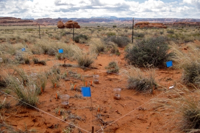 USGS/Erika Geiger