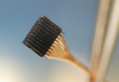 Neural Engineering Laboratory--University of Utah