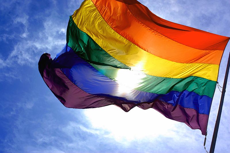 RainbowFlagEdit_creative_commons_Ludovic_Bertron_medium